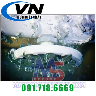 Đĩa phân phối khí bọt thô PermaCap Medium 3/4 Đĩa phân phối khí bọt thô PermaCap Medium 3/4