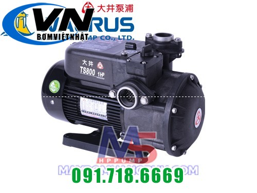 Bơm dân dụng đẩy cao đầu nhựa WALRUS TS-800 1 máy bơm TS800