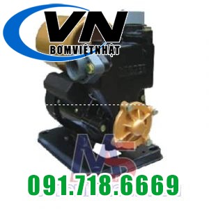 Máy bơm tăng áp PW-139EA (1/6HP) 1 Máy bơm tăng áp PW-139EA (1/6HP)