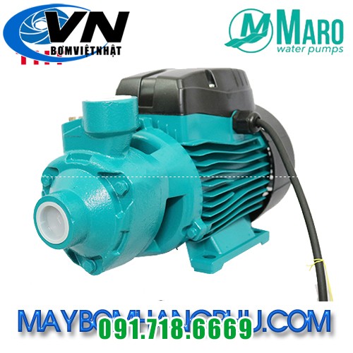 MÁY BƠM ĐẨY CAO ĐẦU CHUỘT MARO QB80 1 may bom day cao dau chuot maro QB80