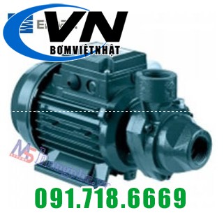 Bơm ly tâm 1 tầng cánh Ebara PRA 100M 1HP 1 Bơm ly tâm 1 tầng cánh Ebara PRA 100M 1HP