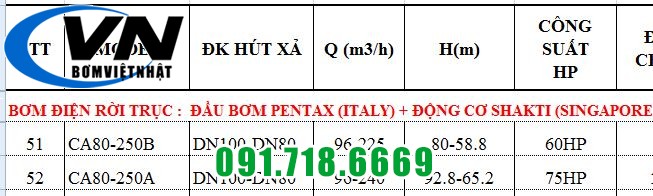 MÁY BƠM CHỮA CHÁY PENTAX ĐỘNG CƠ ĐIỆN SHAKTI CA80-250A 6 MÁY BƠM CHỮA CHÁY PENTAX ĐỘNG CƠ ĐIỆN SHAKTI CA80-250A 5