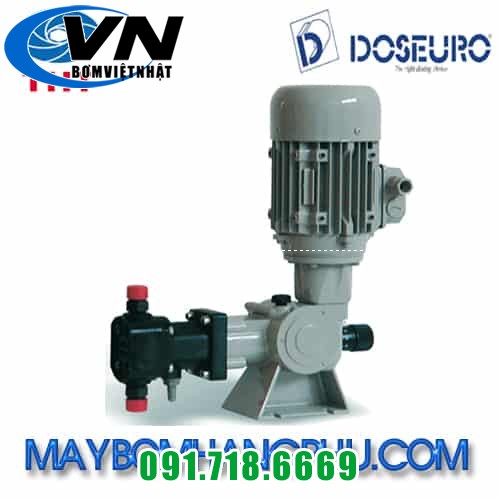 MÁY BƠM ĐỊNH LƯỢNG KIỂU MÀNG CƠ KHÍ DOSEURO TYPE D 050N-30/I-13 3 MÁY BƠM ĐỊNH LƯỢNG KIỂU MÀNG CƠ KHÍ DOSEURO TYPE D 050N-30/I-13 2