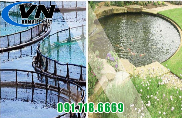 Máy Bơm Chìm Hút Nước Thải EUS 5,05 0,5HP 4 EUS 123