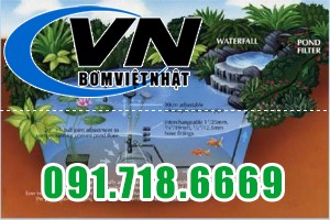 Máy Bơm Chìm Hút Nước Thải MOP 200 0,3HP 4 1