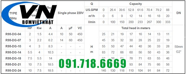 Máy Bơm Hỏa Tiễn 4inch Cánh Nhựa R95-DG-10 4HP 4 R95-DG