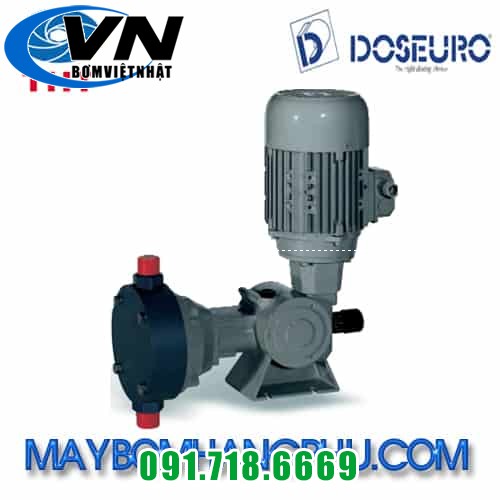 MÁY BƠM ĐỊNH LƯỢNG KIỂU MÀNG CƠ KHÍ DOSEURO TYPE D 101N-105/F-13 3 MÁY BƠM ĐỊNH LƯỢNG KIỂU MÀNG CƠ KHÍ DOSEURO TYPE D 101N-105/F-13 2