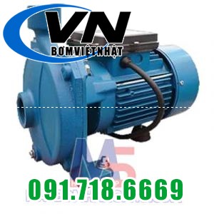 Máy bơm đẩy cao dân dụng NH-100 1HP 1 Máy bơm đẩy cao dân dụng NH-100 1HP