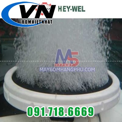 Đĩa phân phối khí Heywel RSD-168 (Dạng thô 5 Đĩa phân phối khí heywel